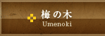 梅の木